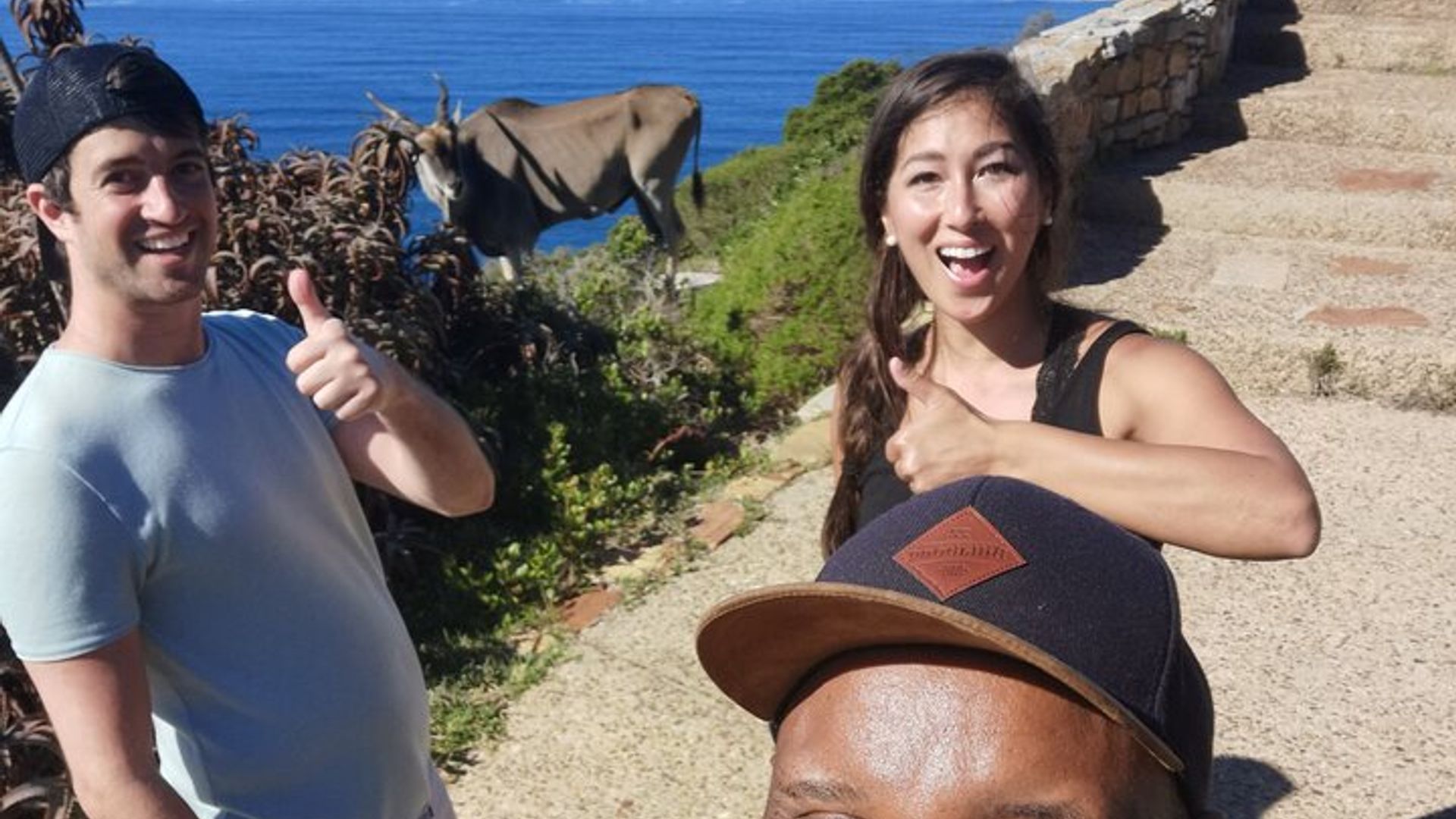 Cape Point Small-Group Guided Tour
