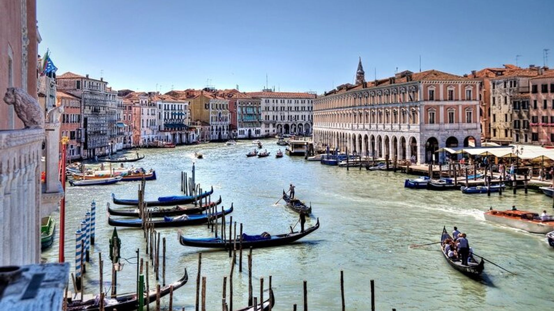Venice Private Walking and Food Tour in the Market