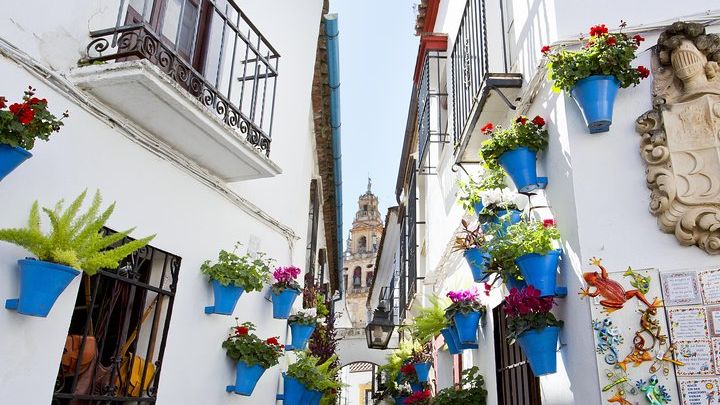 Córdoba Mosque-Cathedral, Alcazar, and Synagogue Guided Tour
