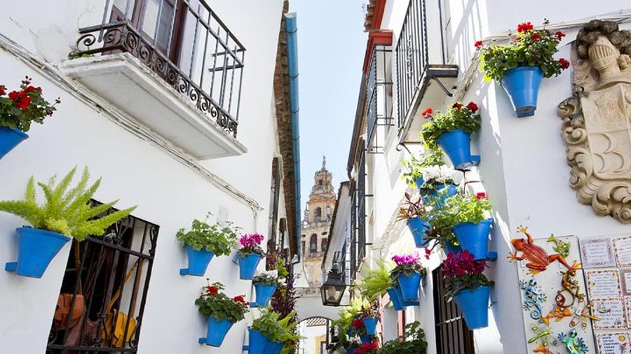Córdoba Mosque-Cathedral, Alcazar, and Synagogue Guided Tour