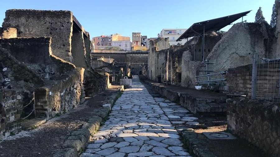 Herculaneum Small-Group Tour