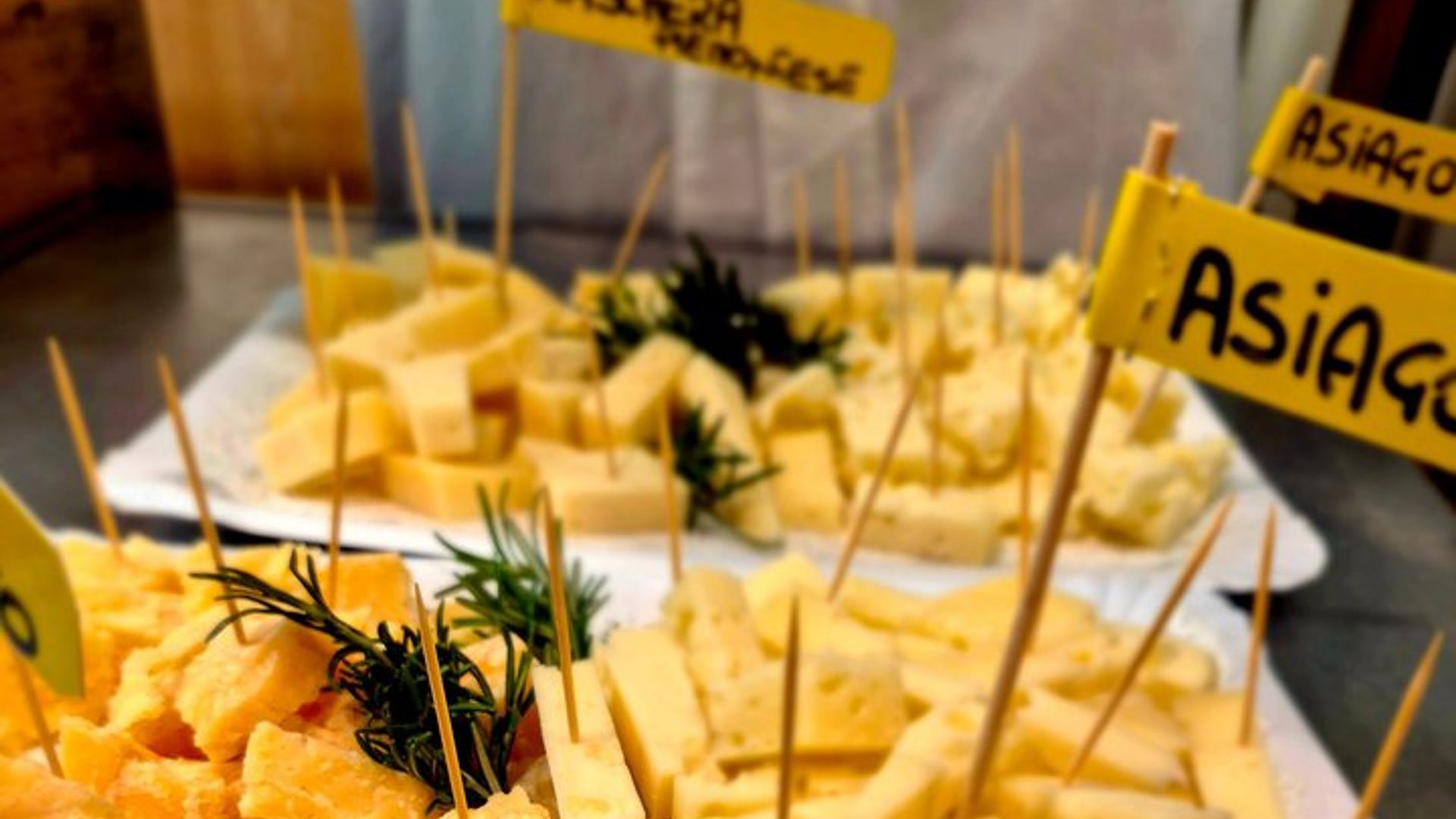 Padua Small-Group Food and Market Tour With 10+ Tastings, Wine