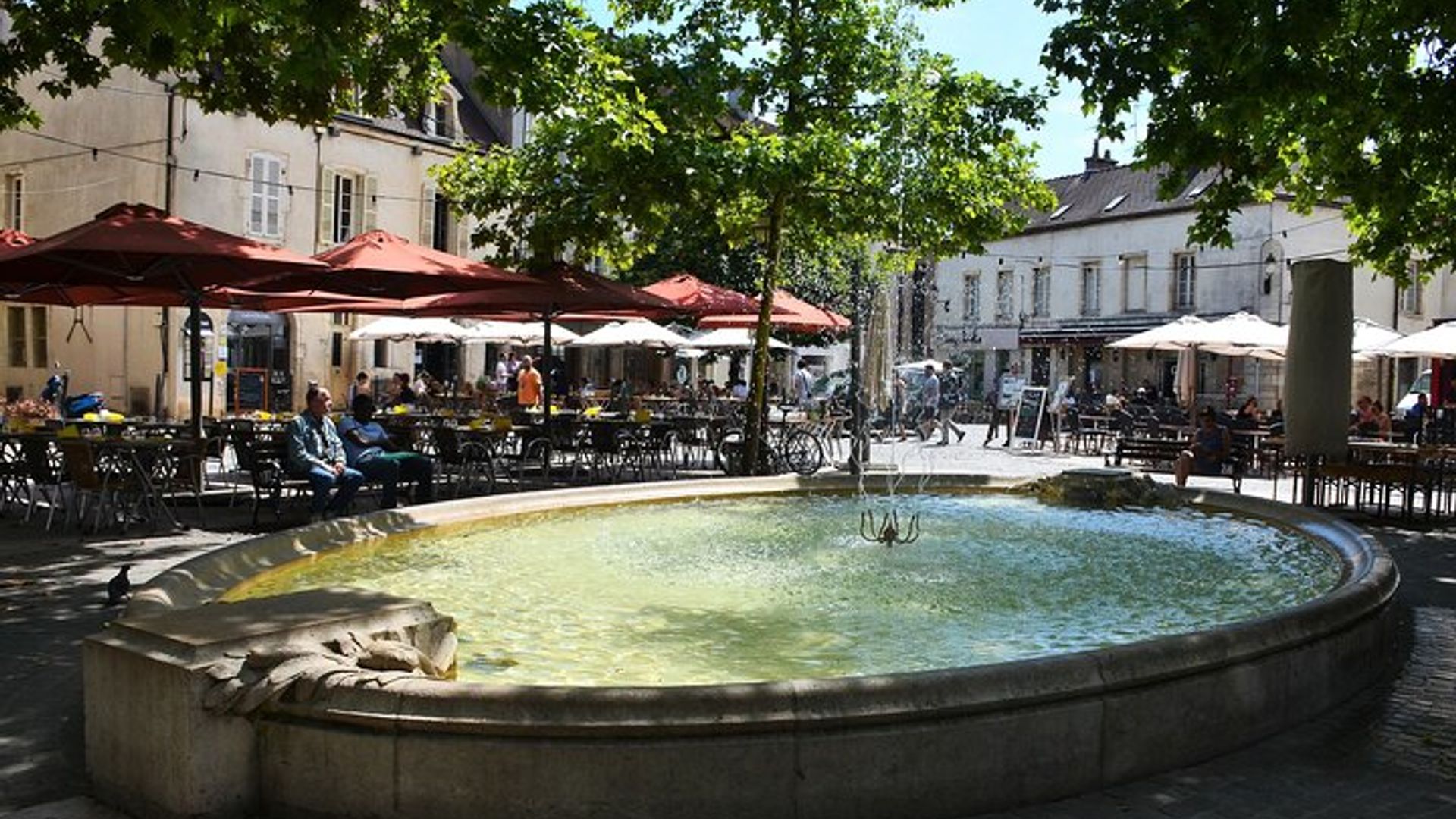 Disfrute de un recorrido por los mejores sitios de Dijon (Mínimo 2 huéspedes)