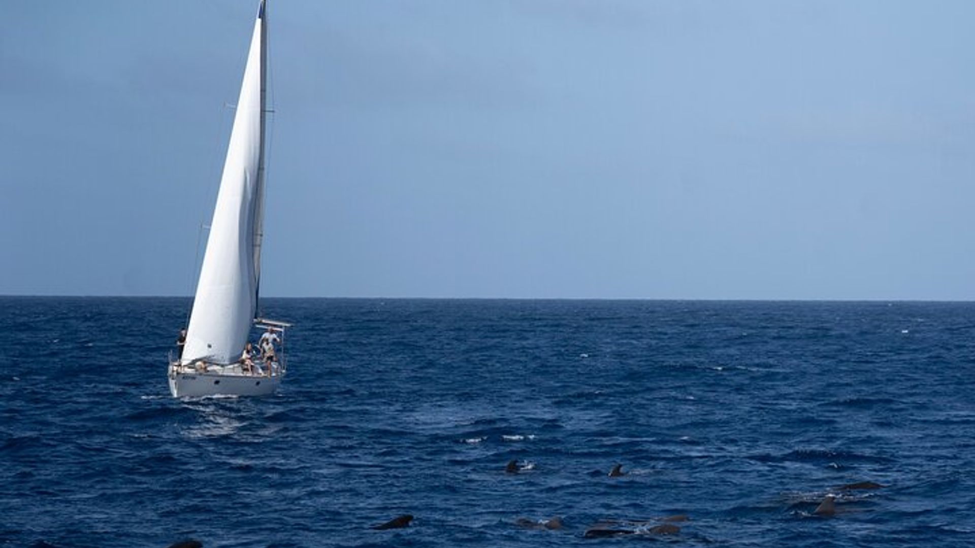 Paseo en velero de medio día para grupos pequeños en Santa María