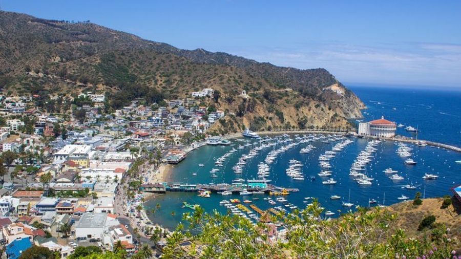 Discover Avalon: Catalina Scenic Tour