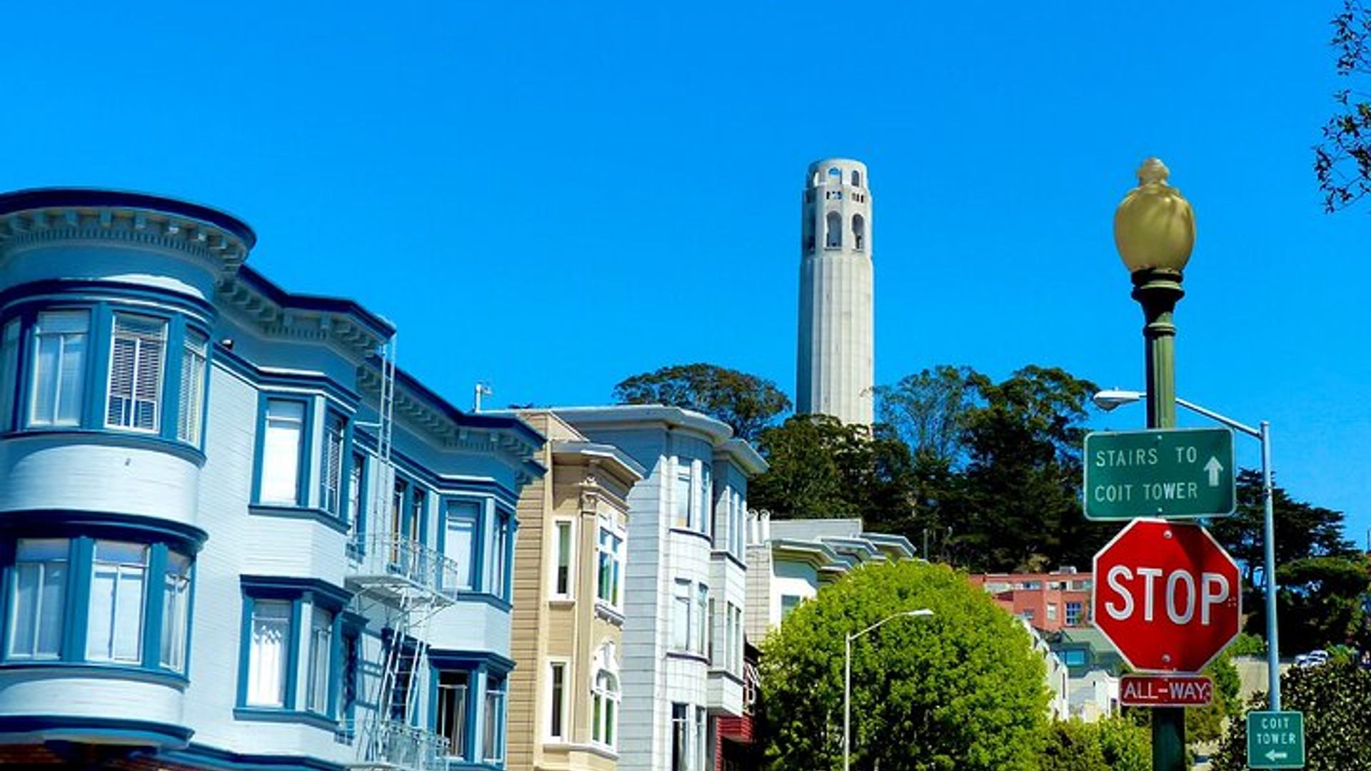 San Francisco North Beach and Chinatown Walking Food Tour image 1