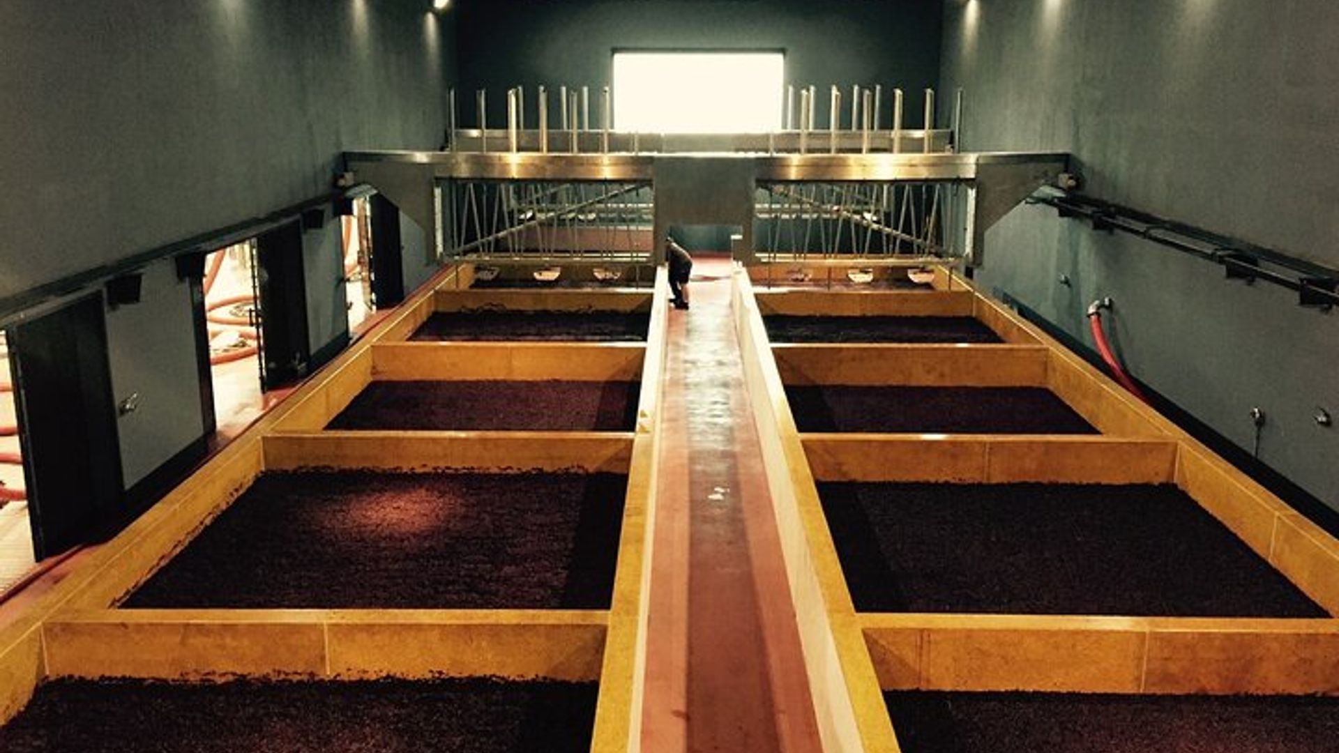 Douro Valley Private Tour mit drei Weingütern