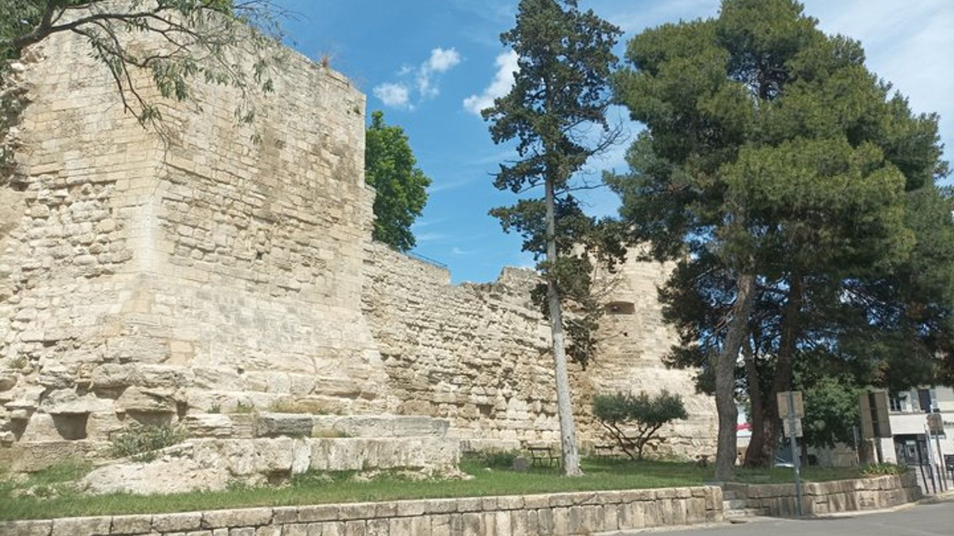 Private Guided Tour of Arles Roman Monuments and Van Gogh Trail
