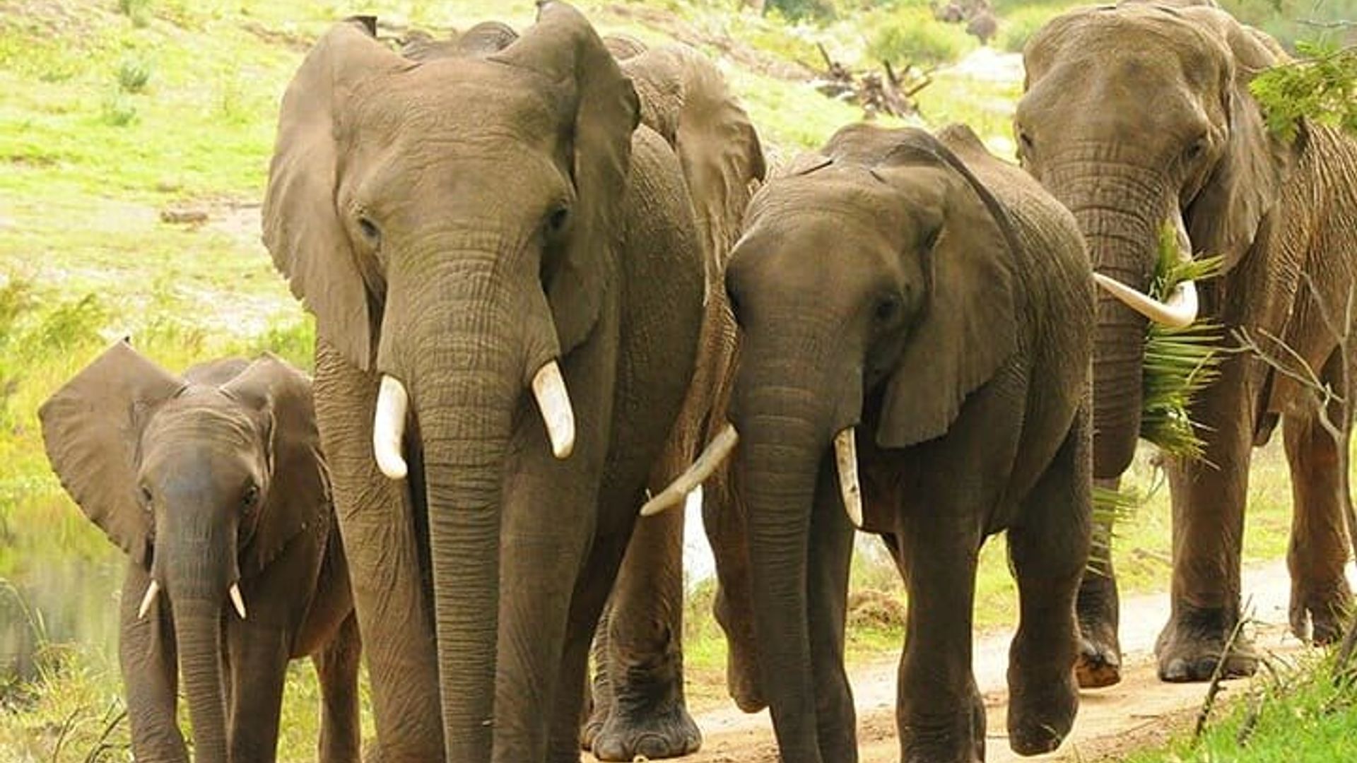 3 Tage 2 Nächte Garden Route Private Tour ab Kapstadt