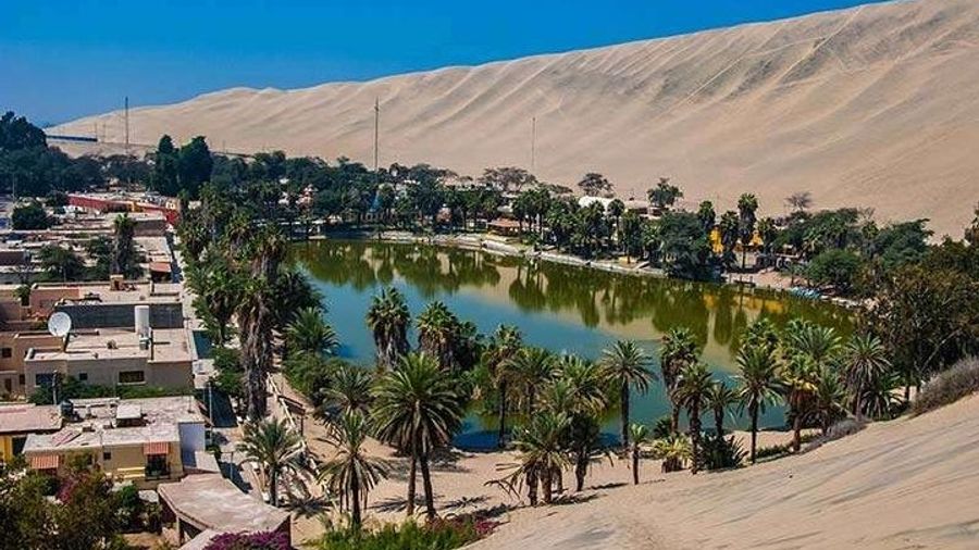 Private Day-Tour: Cusco to Ica, Paracas, and Huacachina Oasis