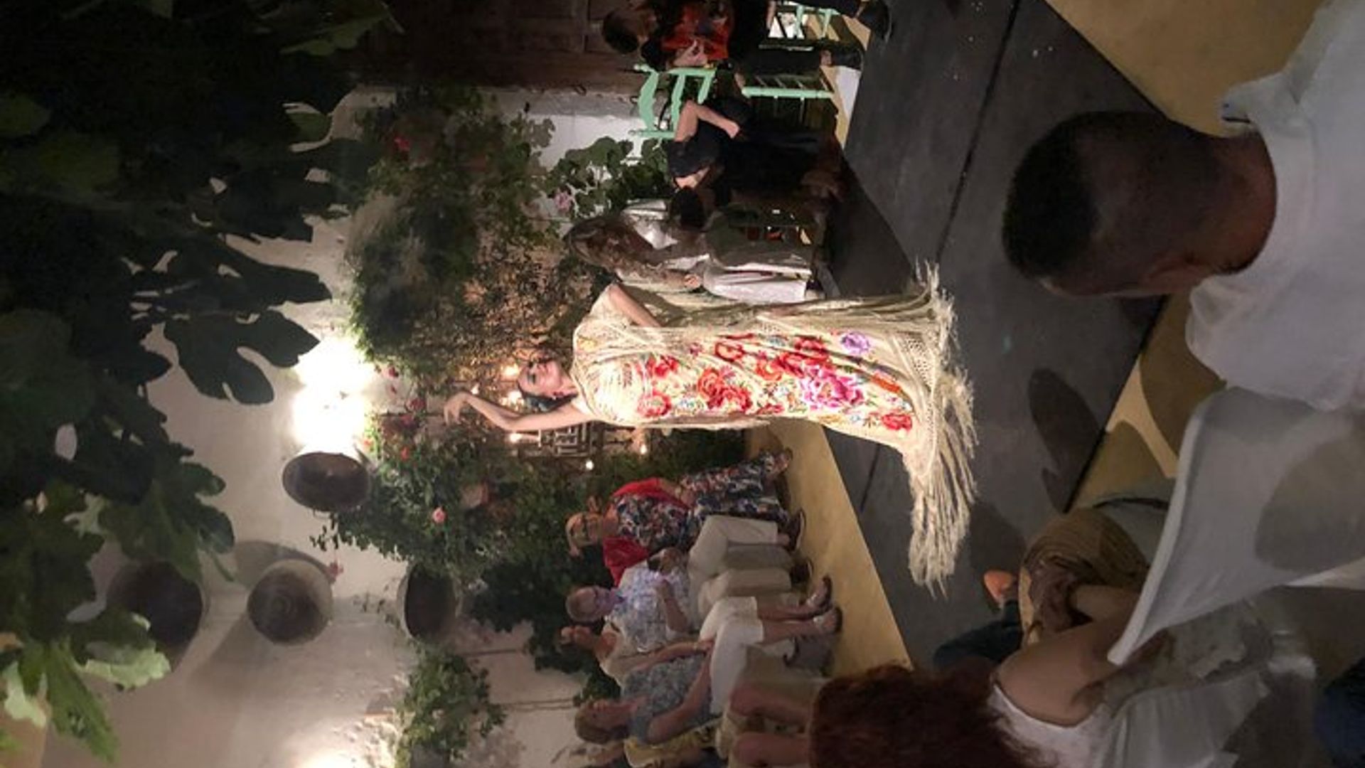 Andalucia Flamenco Evening Performance with Tapas