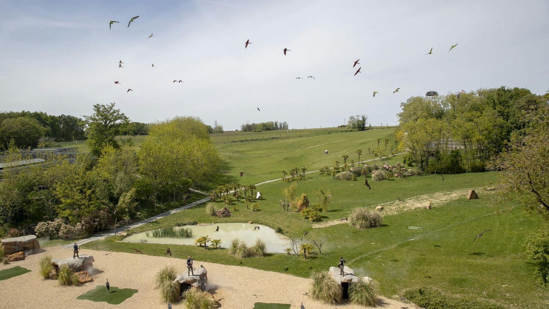 Entrance ticket for ZooParc de Beauval