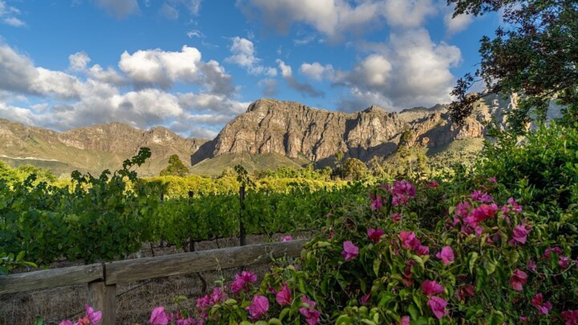 Weinprobe in Dekkersvlei