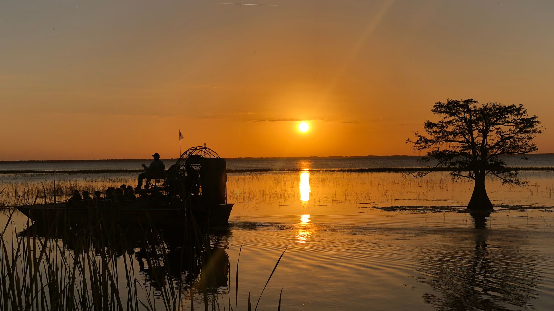 Kissimmee: 1-Hr Boggy Creek Night Everglades Airboat Tour