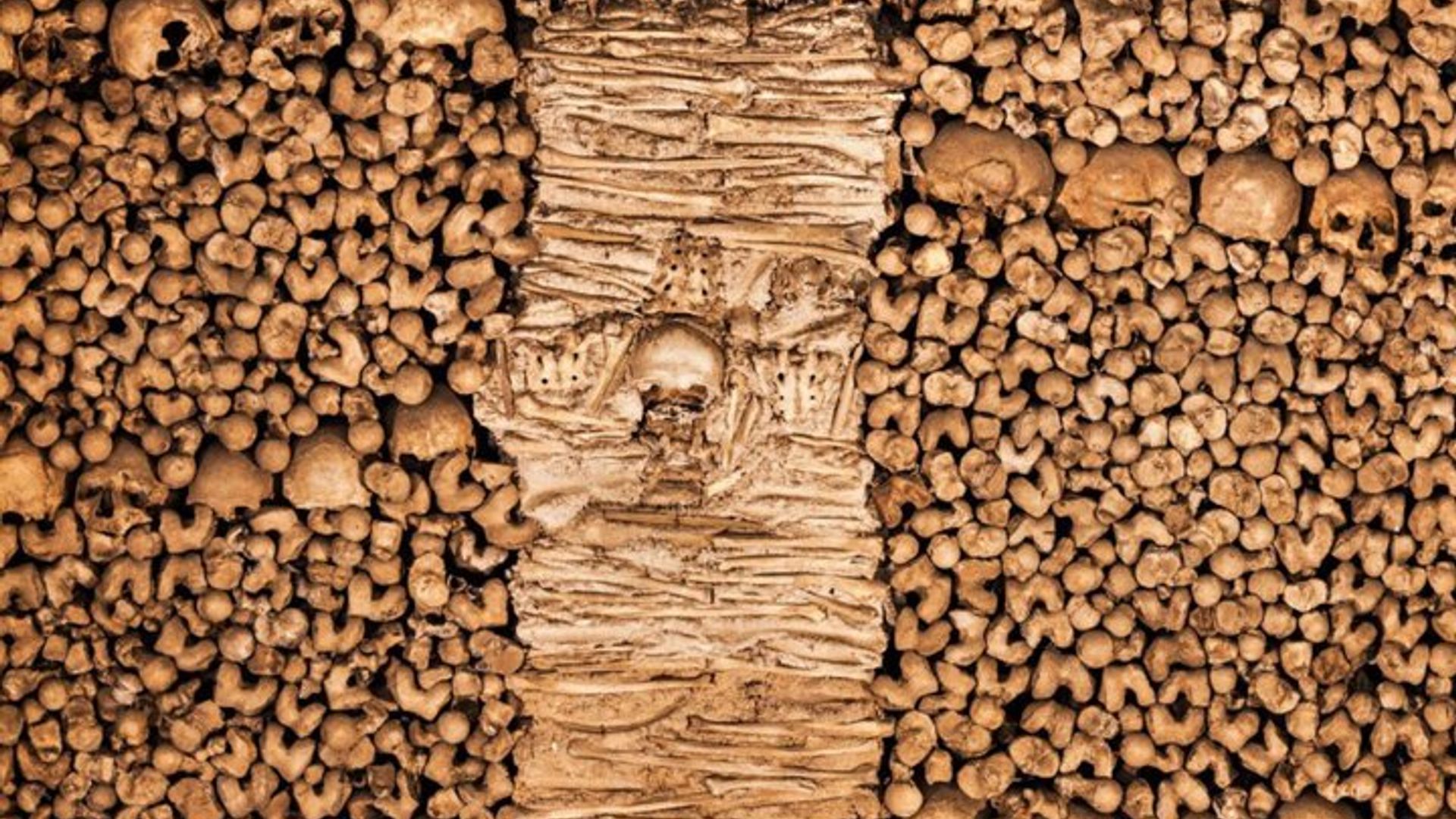 Visite privée de l'Alentejo avec expérience du vin