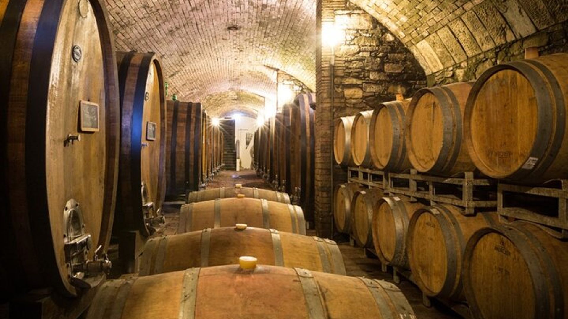 Florence Small-Group Winery and Lunch Morning Tour