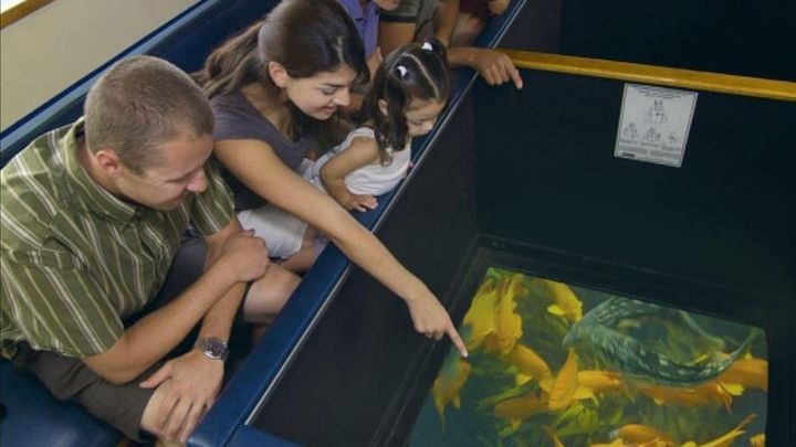 Glass-Bottom Express Boat Tour From Catalina Island