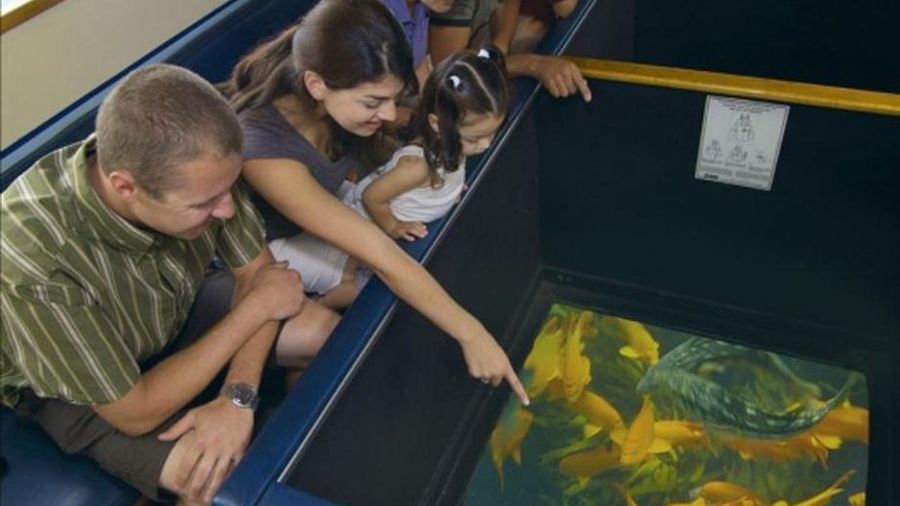 Catalina Island Glass-Bottom Boat Tour With Several Departures