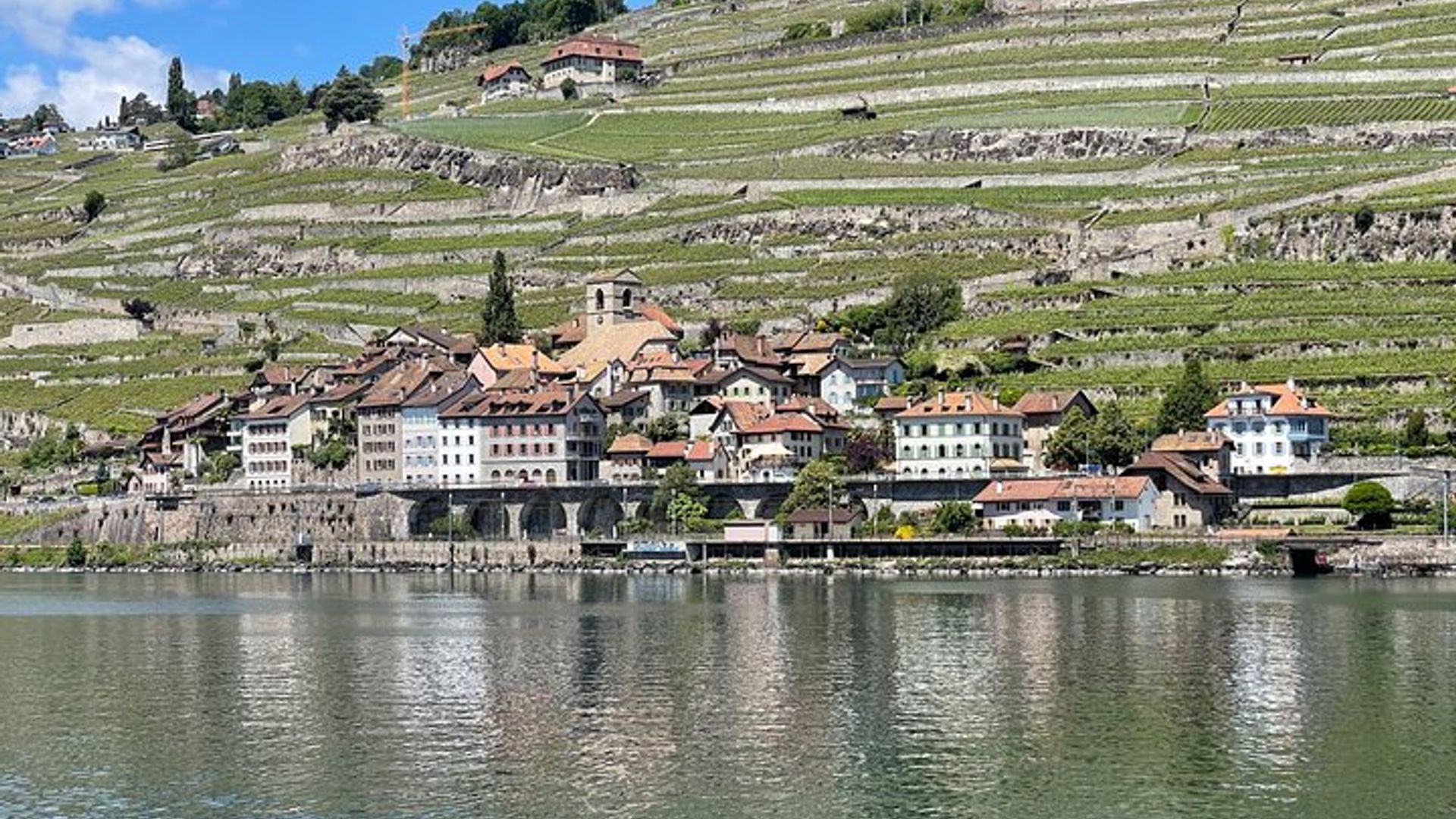 Visite des Vignobles de Lavaux et Musée du Vin au Château d'Aigle