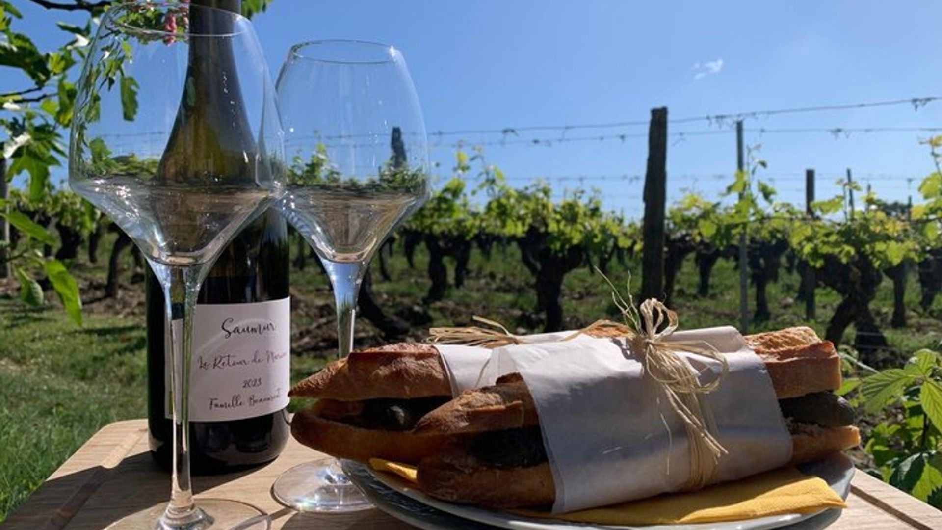 Cata de vinos con el enólogo en Domaine Beaumont Distré-Saumur