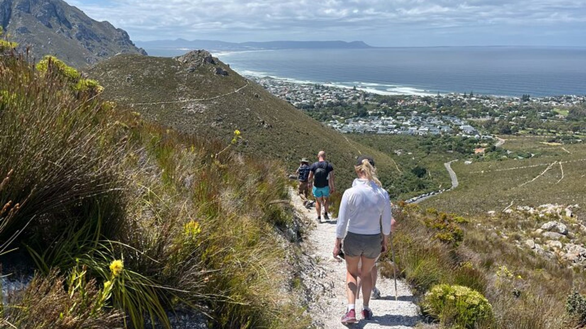 Hermanus Guided Nature Excursions