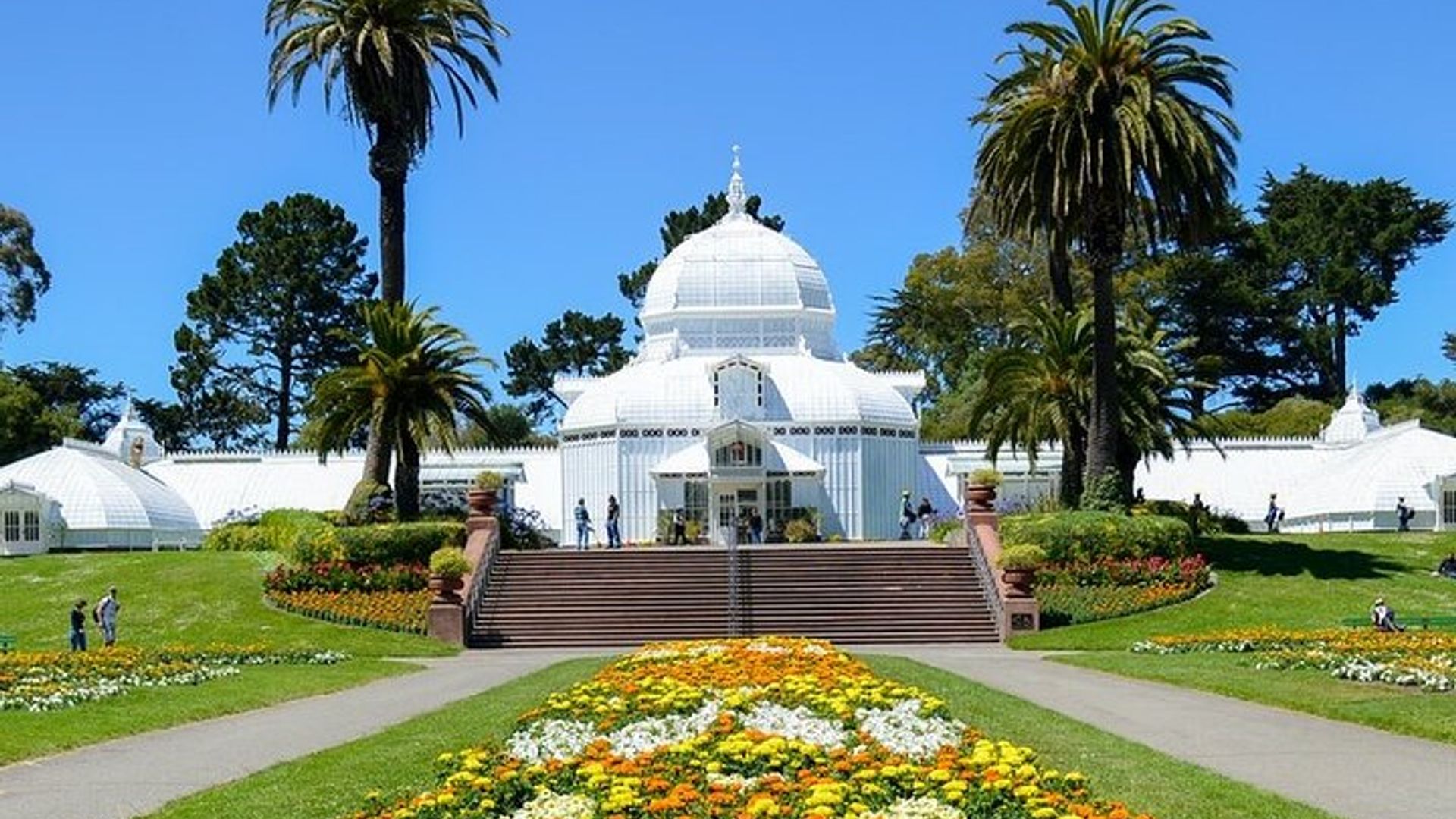 San Francisco Golden Gate Park Small-Group Tour image 3