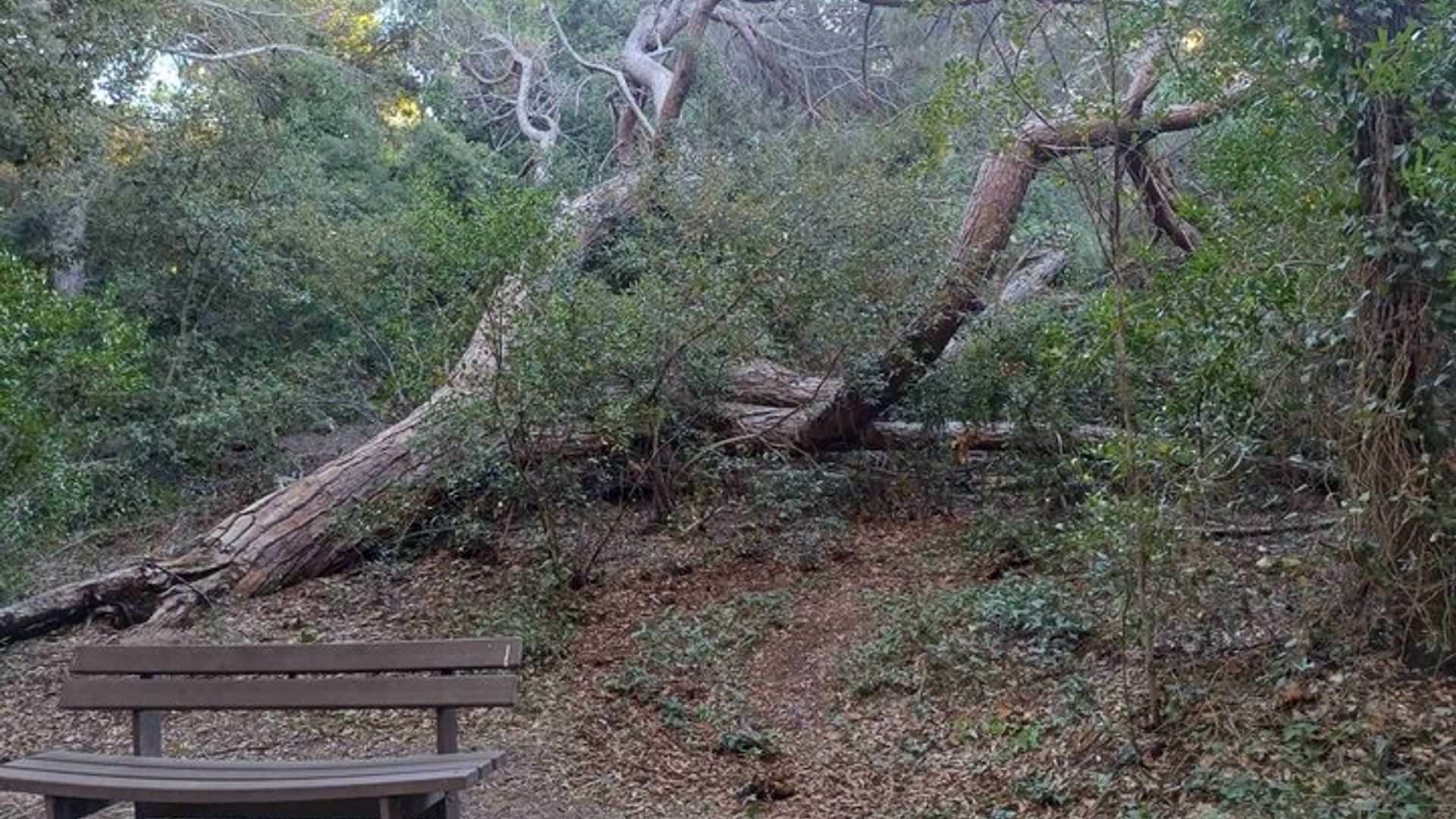 Des thermes de Venturina au village toscan de Suvereto