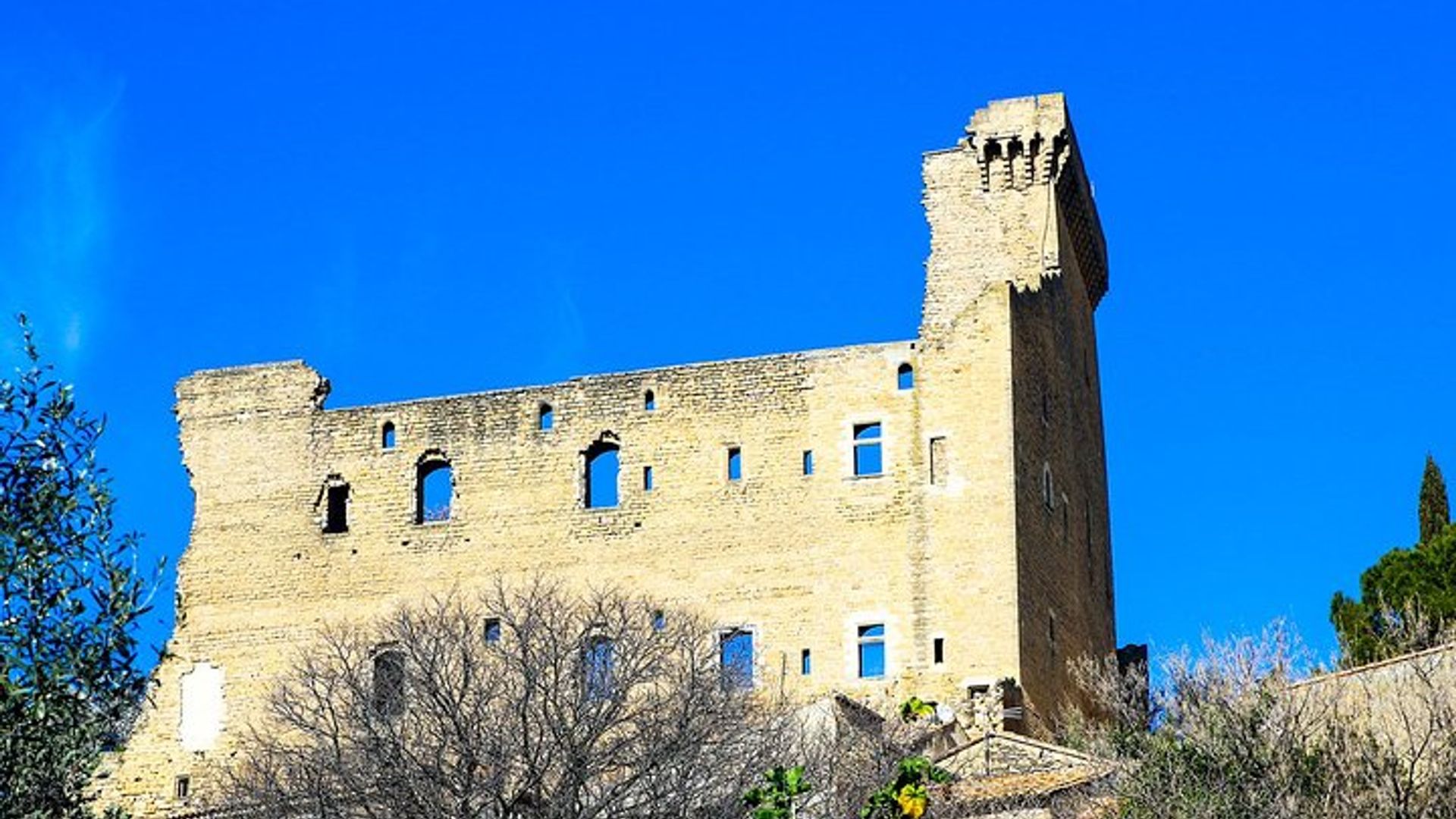 Châteauneuf Du Pape expérience viticole intensive et vins fins