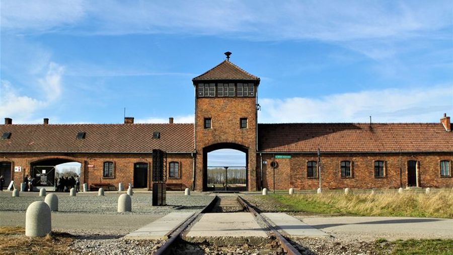 Auschwitz-Birkenau Memorial and Museum: Private or Shared Tour