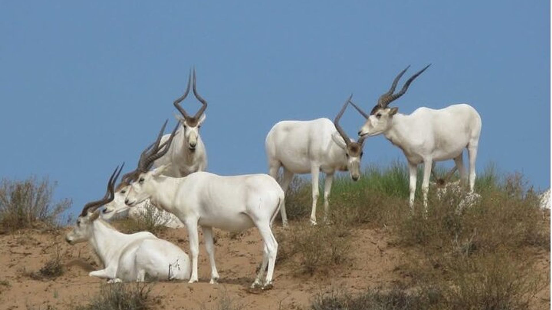 Souss Massa National Park From Agadir