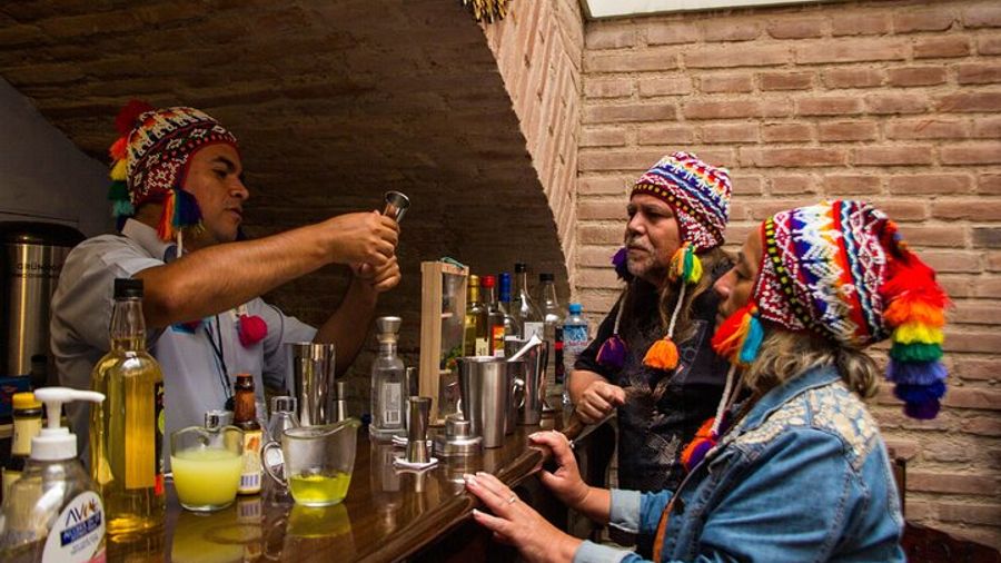 Lima Small Group City Tour with Pisco Sour and Ceviche Tasting