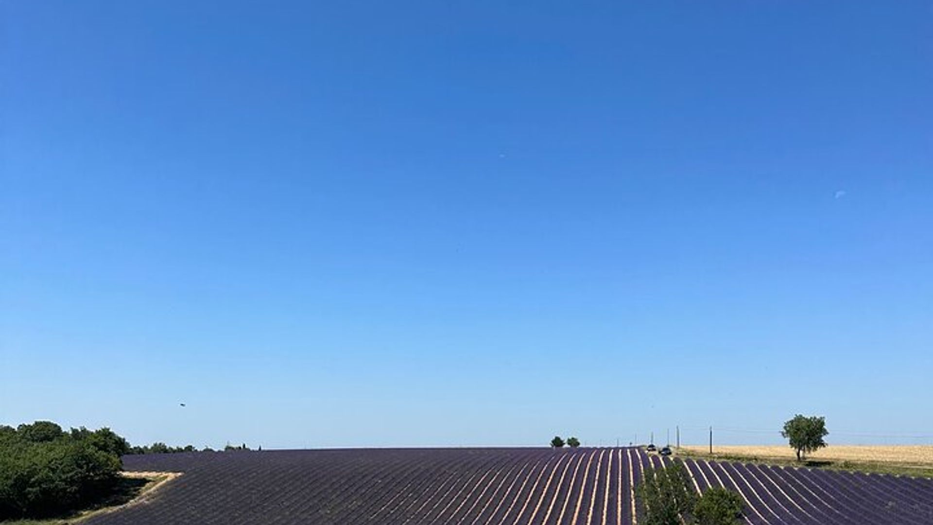 property.imageAlt