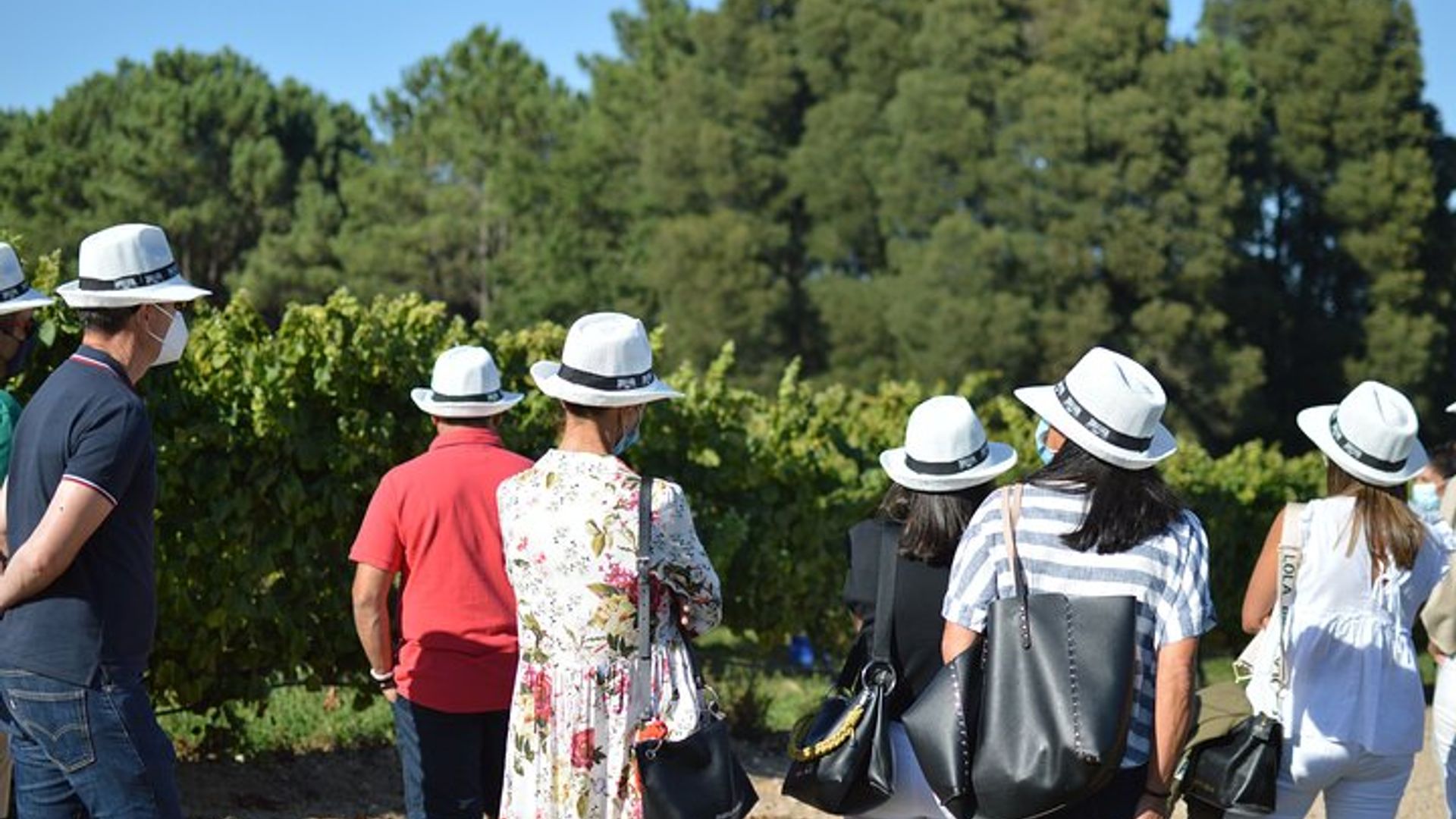 Visite de la cave Rias Baixas et dégustation de vin