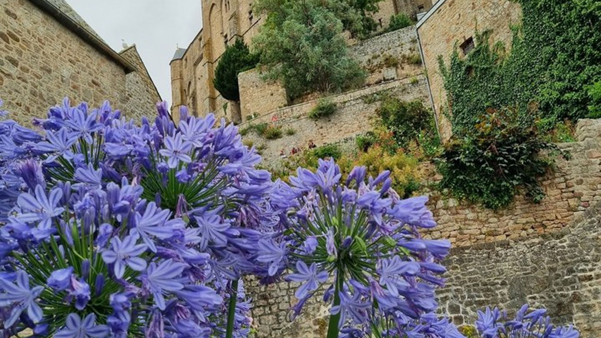 Mont-St-Michel Guided Walking Tour With Abbey Ticket