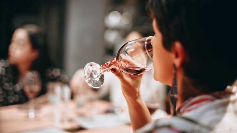 Thessaloniki Small-Group Wine Tasting Tour with Appetizers
