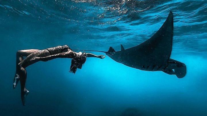 Nusa Penida Snorkeling Adventure (Private & All-Inclusive)