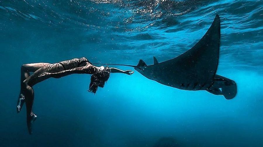 Nusa Penida Snorkeling Adventure (Private & All-Inclusive)