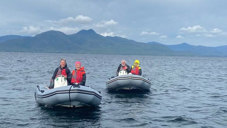 Alaska Wildlife Fast Boat Tour from Ketchikan