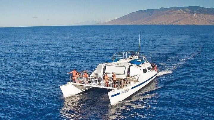 Molokini, Coral Gardens Snorkeling Tour from Ma'alaea Harbor