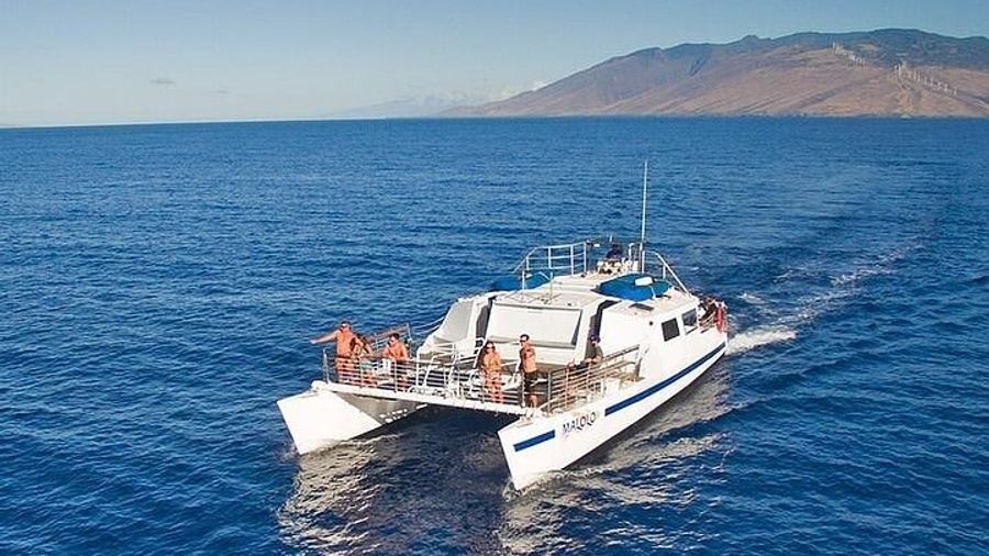 Molokini, Coral Gardens Snorkeling Tour from Ma'alaea Harbor