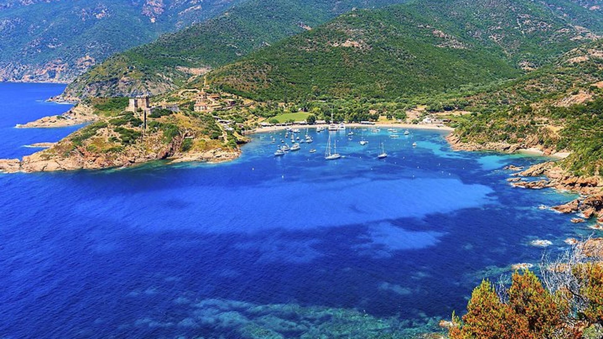 Croisière Calanches de Piana et Réserve de Scandola avec arrêt baignade