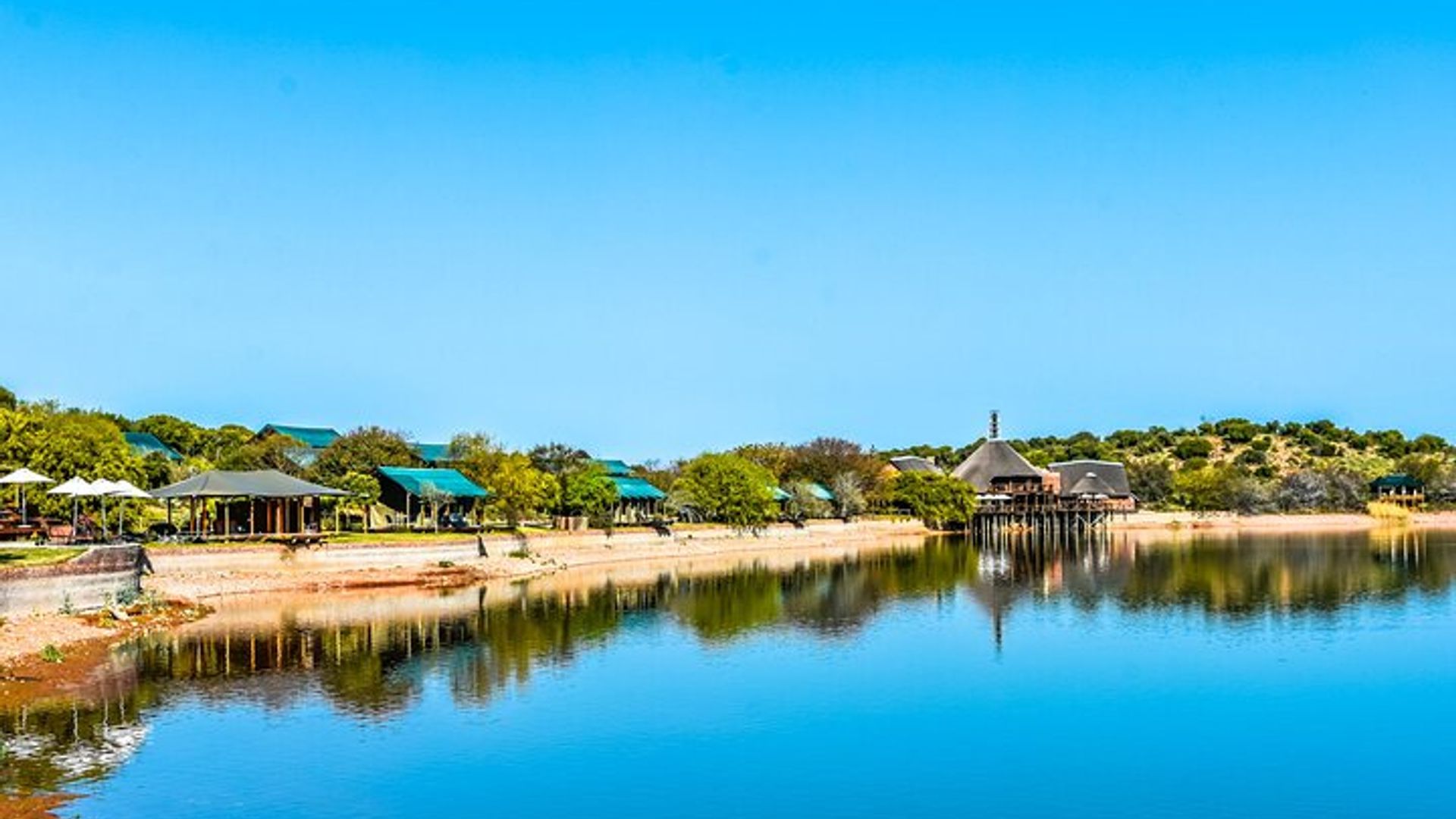 2 Day Small Group Garden Route Big 5 Safari Tour from Cape Town