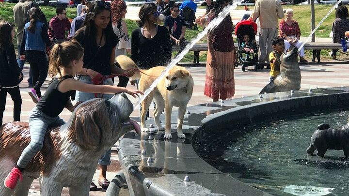 Toronto City Highlights Small-Group Walking Tour