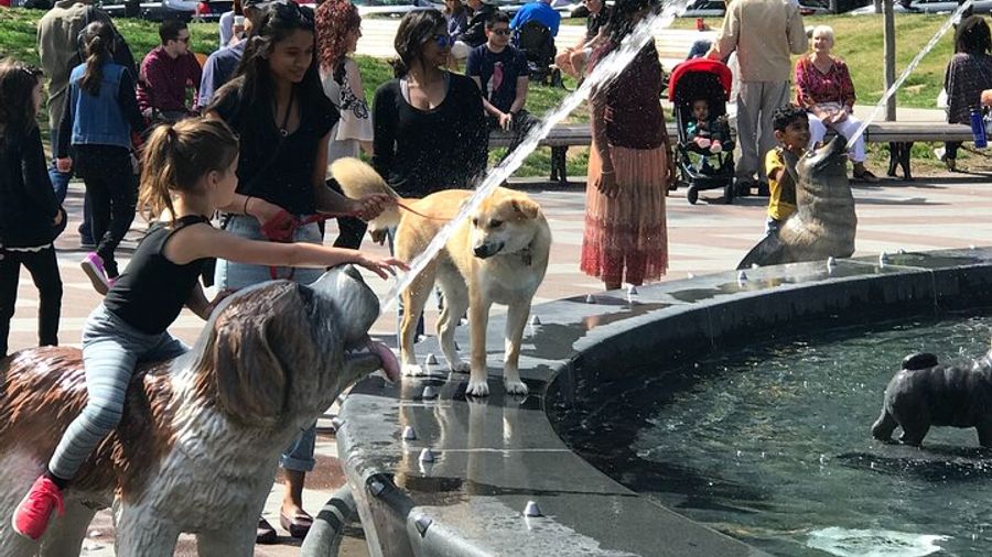 Toronto City Highlights Small-Group Walking Tour