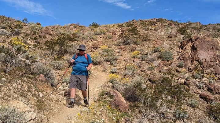 Small-Group Half-Day Guided Hike, Palm Springs