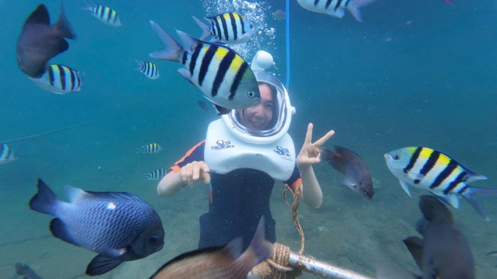 Crucero de día completo de las islas Cham: caminata subacuática, snorkeling