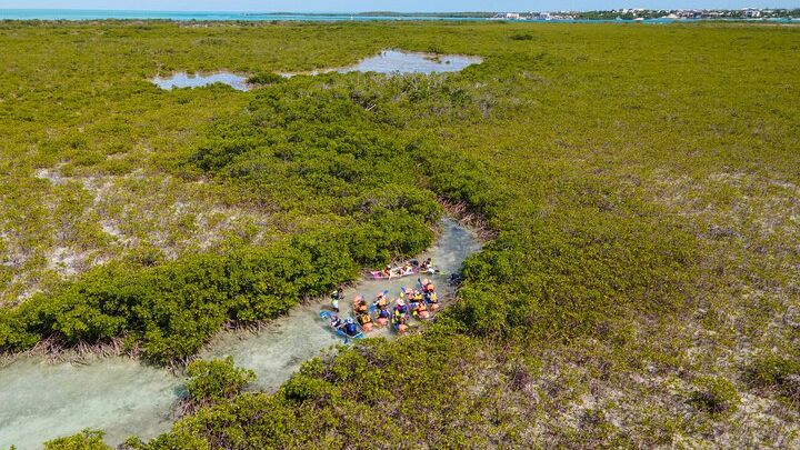 2 Hours Clear Kayaking Activity on Mangrove Cay