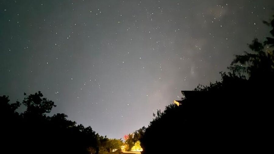 Magic Night of Stargazing and Bioluminescence