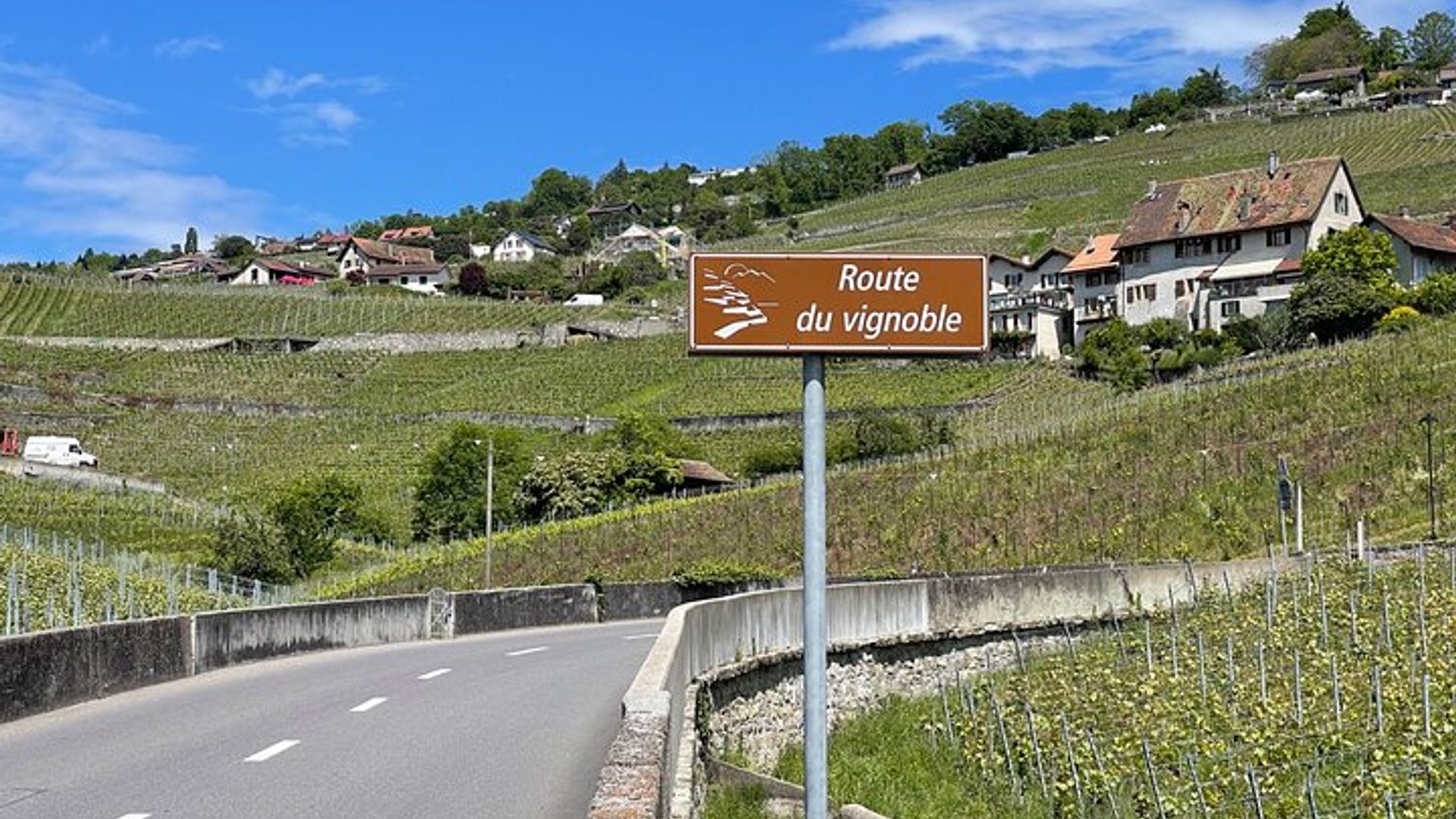 Private Excursion From Geneva to Montreux and Chillon Castle