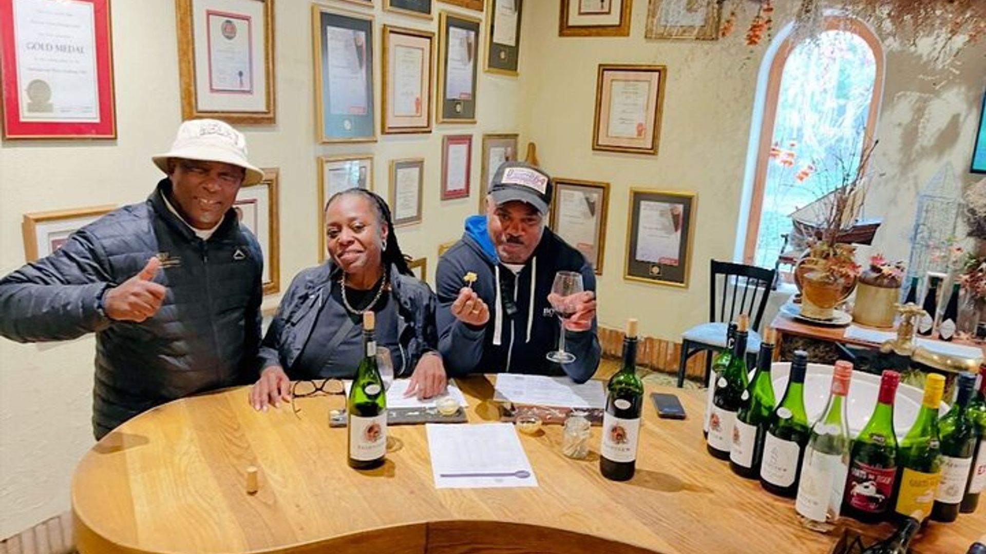 Excursión privada a Cape Winelands